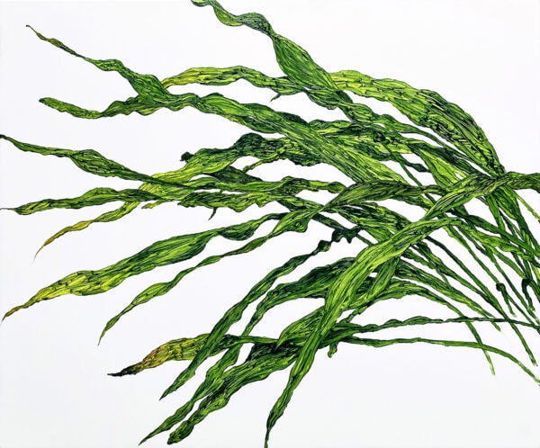 植物習作IX