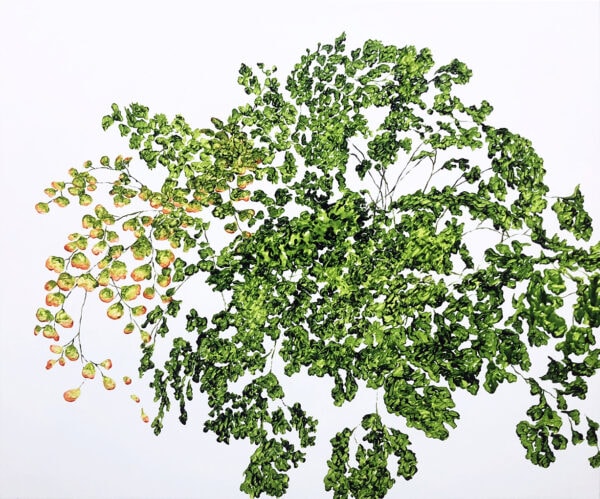 植物習作VIII