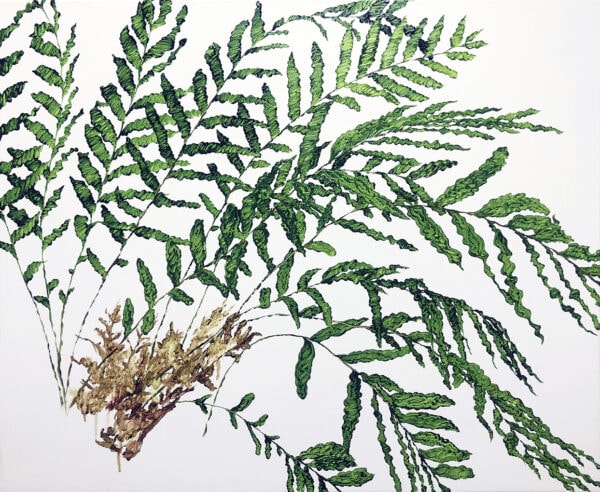 植物習作VII
