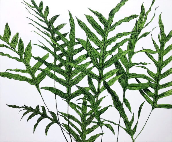 植物習作VI