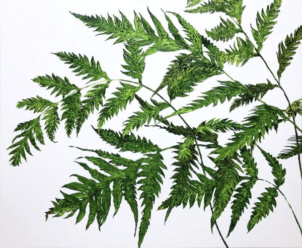 植物習作V