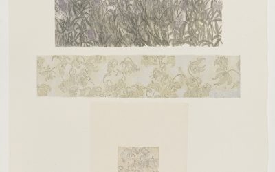 2026 Kaichen Lee Solo